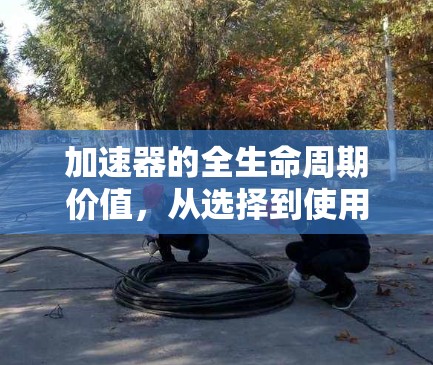 加速器的全生命周期价值，从选择到使用