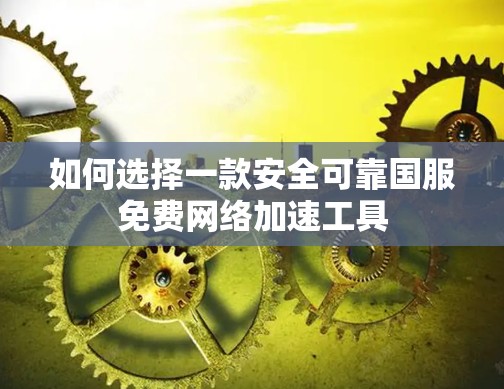 如何选择一款安全可靠国服免费网络加速工具