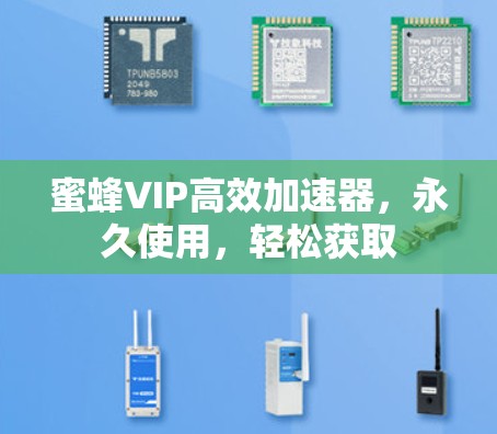 蜜蜂VIP高效加速器,永久使用,轻松获取 蜜蜂VIP高效加速器,永久使用,轻松获取