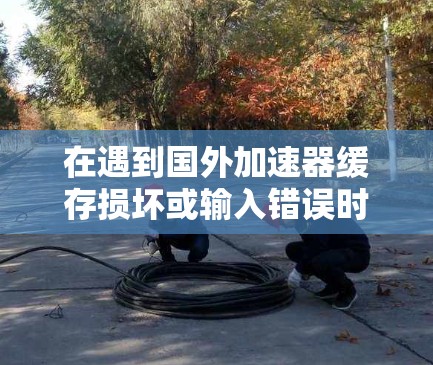 在遇到国外加速器缓存损坏或输入错误时,可以采取以下步骤来解决问题 在遇到国外加速器缓存损坏或输入错误时,可以采取以下步骤来解决问题
