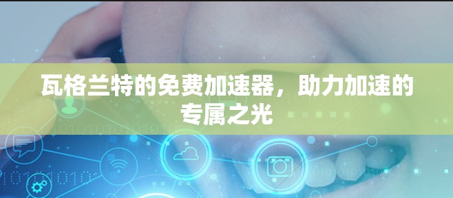 瓦格兰特的免费加速器，助力加速的专属之光