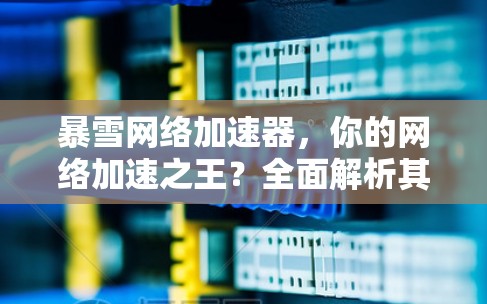 暴雪网络加速器,你的网络加速之王?全面解析其功能与优势 暴雪网络加速器,你的网络加速之王?全面解析其功能与优势