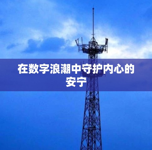 在数字浪潮中守护内心的安宁