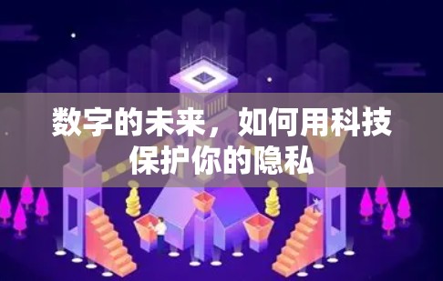 数字的未来，如何用科技保护你的隐私
