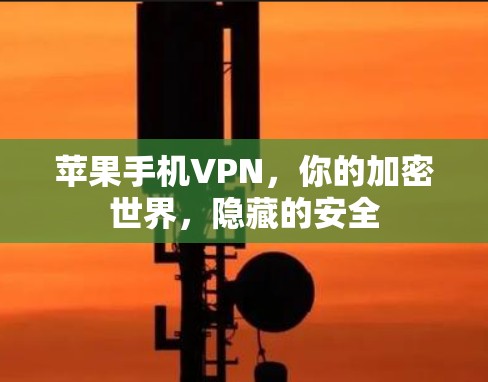 苹果手机VPN，你的加密世界，隐藏的安全