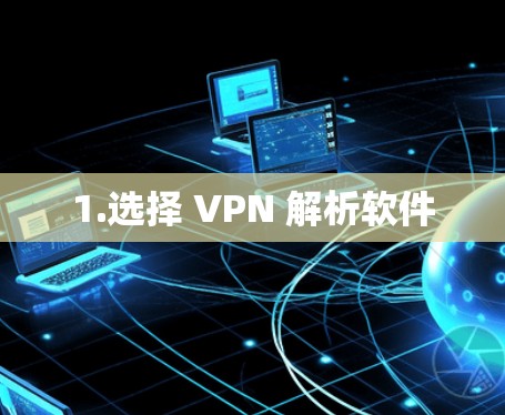 1.选择 VPN 解析软件