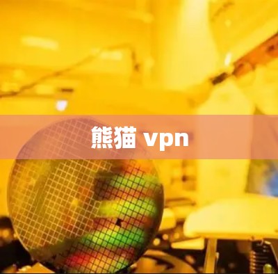 熊猫 vpn