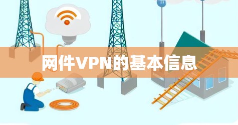 网件VPN的基本信息 网件VPN的基本信息