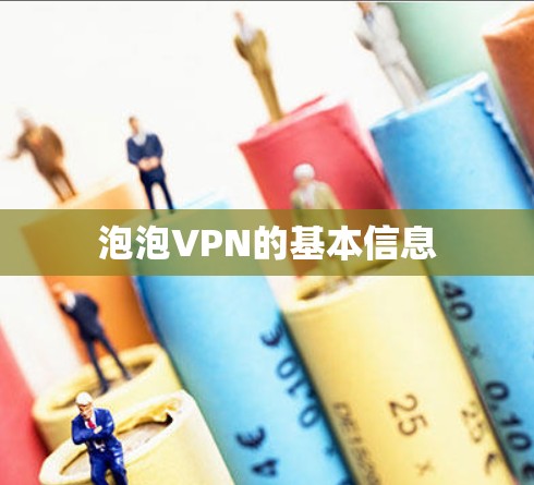 泡泡VPN的基本信息