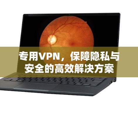 专用VPN,保障隐私与安全的高效解决方案 专用VPN,保障隐私与安全的高效解决方案