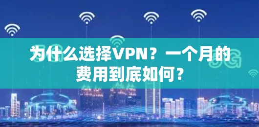 为什么选择VPN?一个月的费用到底如何? 为什么选择VPN?一个月的费用到底如何?