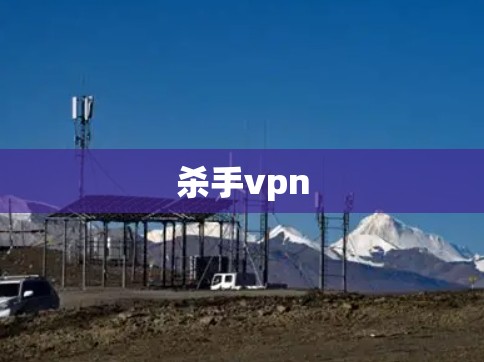 杀手vpn