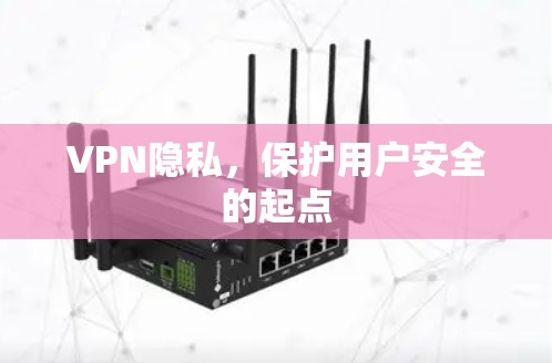 VPN隐私,保护用户安全的起点 VPN隐私,保护用户安全的起点