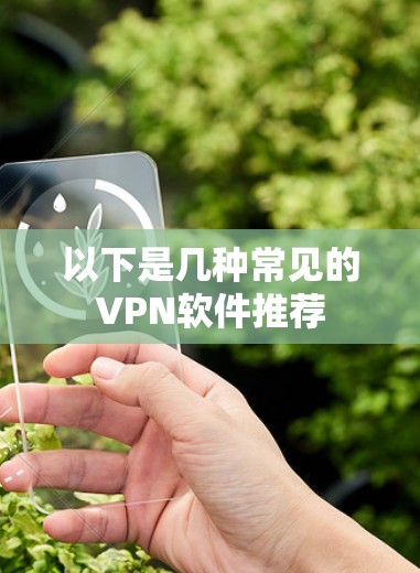 以下是几种常见的VPN软件推荐 以下是几种常见的VPN软件推荐