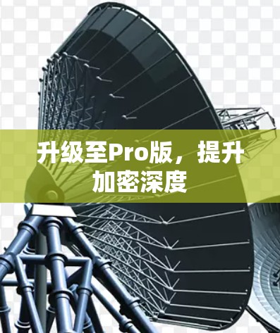 升级至Pro版，提升加密深度