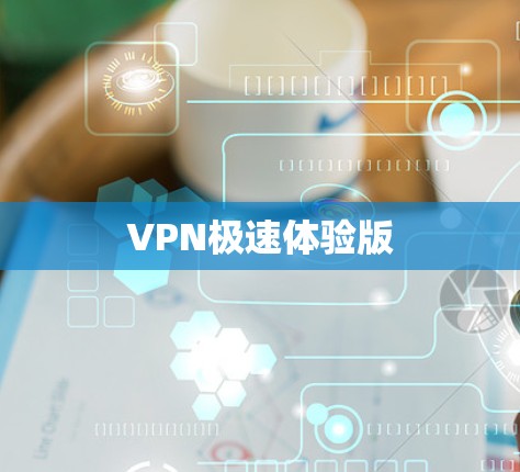 VPN极速体验版