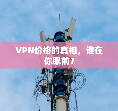 VPN价格的真相，谁在你眼前？
