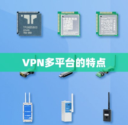 VPN多平台的特点 VPN多平台的特点