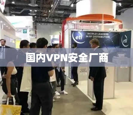 国内VPN安全厂商