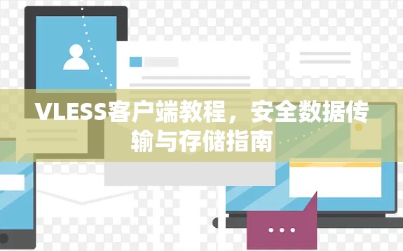 VLESS客户端教程,安全数据传输与存储指南 VLESS客户端教程,安全数据传输与存储指南