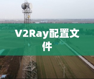 V2Ray配置文件