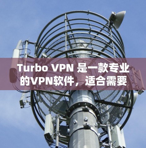 Turbo VPN 是一款专业的VPN软件,适合需要VPN服务的用户。以下是下载Turbo VPN的详细步骤 Turbo VPN 是一款专业的VPN软件,适合需要VPN服务的用户。以下是下载Turbo VPN的详细步骤
