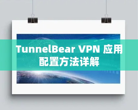 TunnelBear VPN 应用配置方法详解