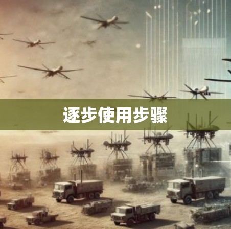 逐步使用步骤