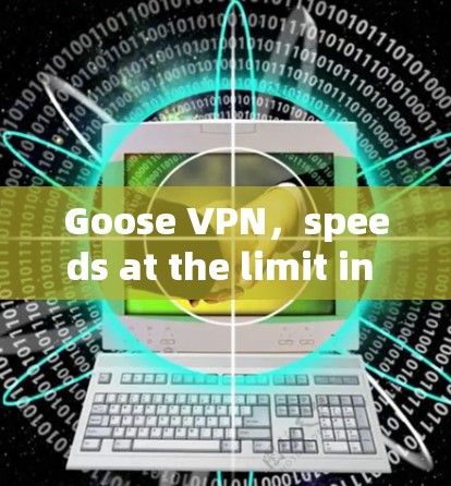 Goose VPN,speeds at the limit in the 21st century Goose VPN,speeds at the limit in the 21st century