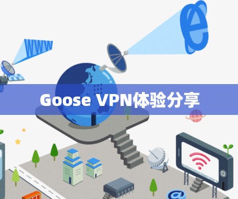 Goose VPN体验分享