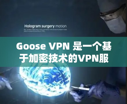 Goose VPN 是一个基于加密技术的VPN服务，旨在保护用户的网络隐私和数据安全。如果你对科学上网方案感兴趣，以下是一个详细的指南，帮助你更好地理解如何使用Goose VPN 进行科学上网