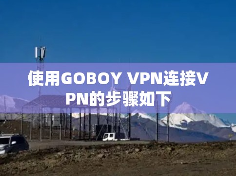 使用GOBOY VPN连接VPN的步骤如下