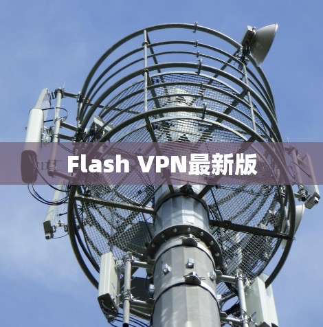 Flash VPN最新版 Flash VPN最新版