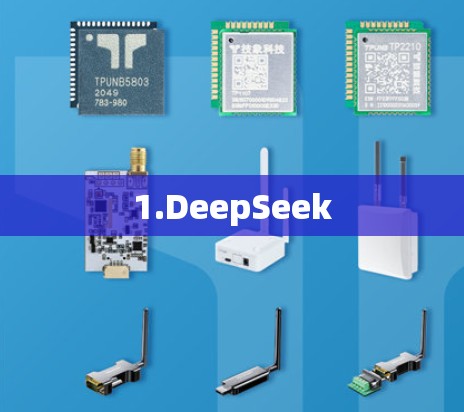 1.DeepSeek 1.DeepSeek