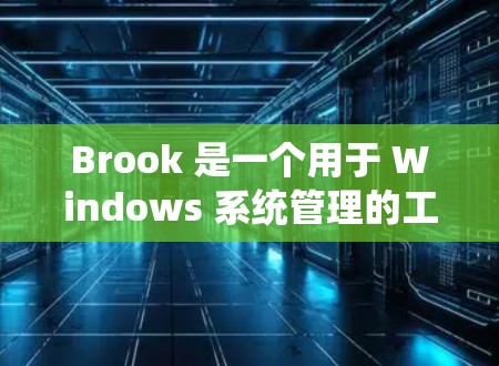 Brook 是一个用于 Windows 系统管理的工具,主要用于管理文件、管理桌面和设置文件扩展名等。以下是一个详细的安装指南,帮助您顺利安装并使用 Brook Brook 是一个用于 Windows 系统管理的工具,主要用于管理文件、管理桌面和设置文件扩展名等。以下是一个详细的安装指南,帮助您顺利安装并使用 Brook