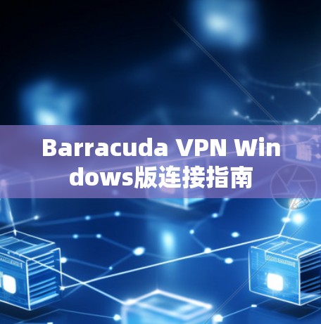 Barracuda VPN Windows版连接指南