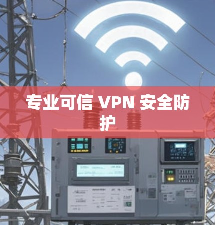 专业可信 VPN 安全防护 专业可信 VPN 安全防护
