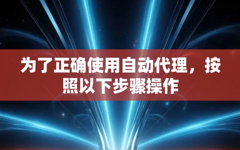 为了正确使用自动代理，按照以下步骤操作
